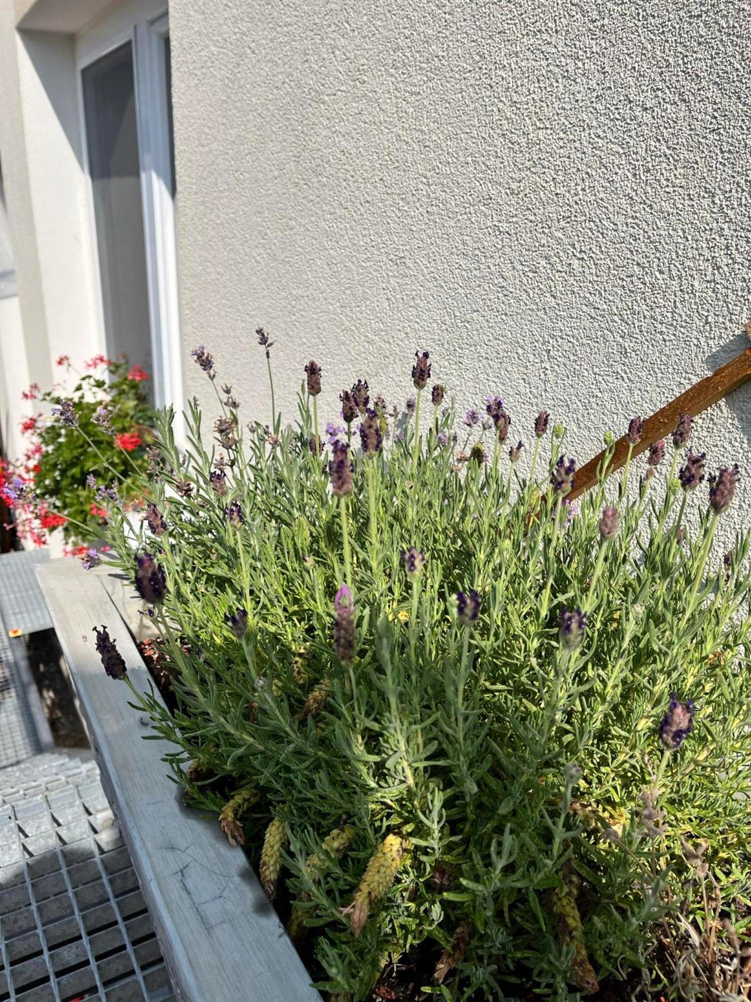 P&P apartmán Bojnice Exteriér fotografie